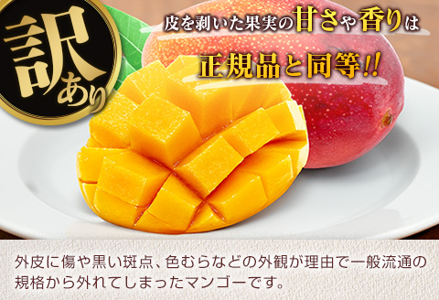 訳あり 宮崎県産 完熟マンゴー 約1.8kg 期間限定 数量限定 フルーツ 果物 くだもの 国産 食品 デザート おやつ フルーツサンド おすすめ ご褒美 贅沢 産地直送 傷 規格外 訳アリ おすそ分け 家庭用 冷蔵 宮崎県 日南市 送料無料_DA32-24 約1.8kg
