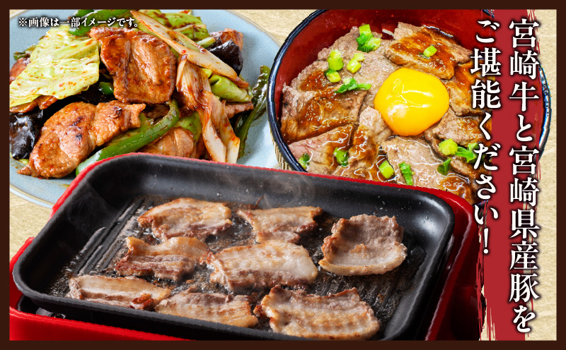 宮崎牛 宮崎県産豚 5種 食べ比べ 焼肉 セット 合計1.5kg 数量限定 肉 牛肉 豚肉 豚バラ 国産 食品 A4 A5 黒毛和牛 和牛 肩ロース モモ ウデ 豚肩ロース バーベキュー BBQ アウトドア おかず お弁当 ご褒美 お祝 記念日 贈り物 ギフト 贈答 冷凍 宮崎県 日南市 送料無料_DC25-24