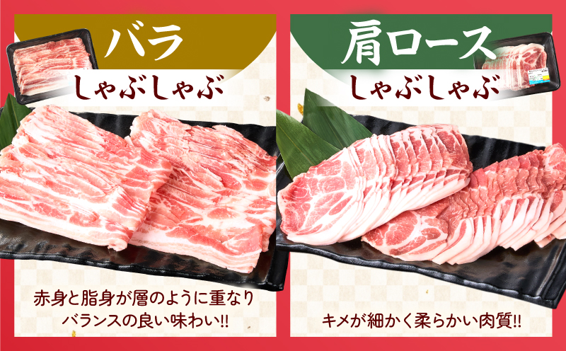 数量限定 宮崎県産 豚肉 バラエティー セット 合計4.1kg 6種 肉 豚肉 国産 食品 小分け 豚バラ ロース 小間切れ こま切れ 食べ比べ 焼肉 しゃぶしゃぶ 生姜焼き 炒め物 豚汁 おかず お弁当 冷凍 おすすめ ギフト 贈り物 贈答 宮崎県 日南市 送料無料_DD14-24