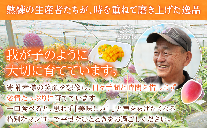 リピーター続出!!宮崎県産 完熟 マンゴー 2L以上×4玉 令和8年発送分 数量限定 フルーツ 果物 果汁 希少 濃厚 ジューシー 贅沢 上質 ご褒美 人気 国産 食品 おやつ デザート 産地直送 おすすめ ギフト プレゼント 贈り物 お土産 手土産 南国 日南市 送料無料_ED10-25 4玉
