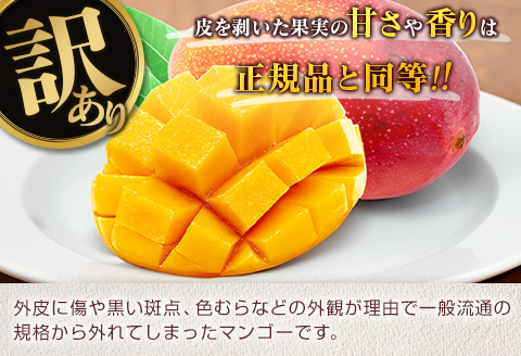 訳あり 宮崎県産 完熟マンゴー 約2.8kg 期間限定 数量限定 フルーツ 果物 くだもの 国産 食品 デザート おやつ フルーツサンド おすすめ ご褒美 贅沢 産地直送 傷 規格外 訳アリ おすそ分け 家庭用 冷蔵 宮崎県 日南市 送料無料_F77-24 約2.8kg