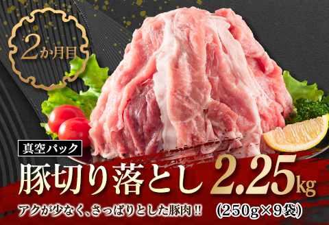 数量限定 3か月 お楽しみ 定期便 牛肉 豚肉 鶏肉 バラエティ セット 総重量5kg 宮崎牛 黒毛和牛 国産 ブランド牛 食品 おかず お弁当 おつまみ 切り落とし 切身 焼肉 からあげ お取り寄せ グルメ 小分け 真空パック おすそ分け 宮崎県 日南市 送料無料_G62-25