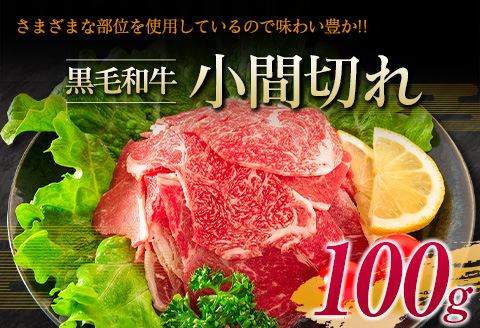 宮崎牛 ロース ステーキ 黒毛和牛 小間切れ セット 合計600g 牛肉 ビーフ 国産 万能食材 ブランド牛 おかず お弁当 おつまみ 食品 おすすめ 焼肉 バーベキュー 鉄板焼き 高級 ご褒美 お祝 記念日 お取り寄せ グルメ 冷凍 詰め合わせ 宮崎県 日南市 送料無料_F62-21