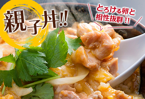 小分けで便利!! 真空パック 数量限定 鶏もも肉 定期便 3か月 お楽しみ 鶏肉 もも 切身 総重量9kg 国産 鳥 チキン カット 人気 小分け おかず お弁当 おつまみ 食品 から揚げ 焼肉 モモ肉 万能食材 大満足 おすそ分け お取り寄せ 宮崎県 日南市 送料無料_GD9-25