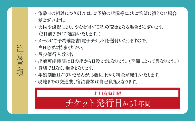 日南海岸観光 クルージング チケット 1枚 ペア 1組 体験チケット クルーズ体験 マリンアクティビティ体験 アウトドア ダイナミック 絶景スポット 楽しむ 遊覧船 旅行 記念日 観光 レジャー ギフト 贈り物 プロポーズ サプライズ 宮崎県 日南市 送料無料_H50-25