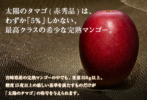 完熟マンゴー 太陽のタマゴ 赤秀品 4L × 2玉 期間限定 数量限定 マンゴー 宮崎 フルーツ 果物 くだもの 国産 食品 先行予約 2026 令和8年発送 濃厚 デザート おやつ おすすめ 冷蔵 ご褒美 贅沢 おすそわけ 化粧箱入り ギフト 贈り物 贈答 日南市 送料無料_H7-191