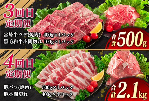 【令和8年5月から毎月配送】5か月定期便 月替わりで堪能!! 牛肉 豚肉 焼肉 セット 豚バラ 肩ロース モモ ウデ 総重量5.6kg 国産 食品 おかず BBQ バーベキュー 小分け 宮崎牛 黒毛和牛 小間切れ 赤身 A4 A5 高級 グランピング お弁当 おすすめ 人気 選べる ミヤチク 宮崎県 日南市 送料無料_JE5-25-D 令和8年5月から毎月配送