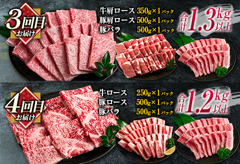 数量限定 6か月 お楽しみ 定期便 宮崎牛 豚肉 焼肉 セット 総重量8kg以上 牛肉 ビーフ ポーク 黒毛和牛 ミヤチク モモ バラ 肩ロース ミスジ ウデ 豚バラ BBQ 鉄板焼き 食べ比べ 国産 食品 おかず お弁当 冷凍 お取り寄せ グルメ 宮崎県 日南市 送料無料_N8-25