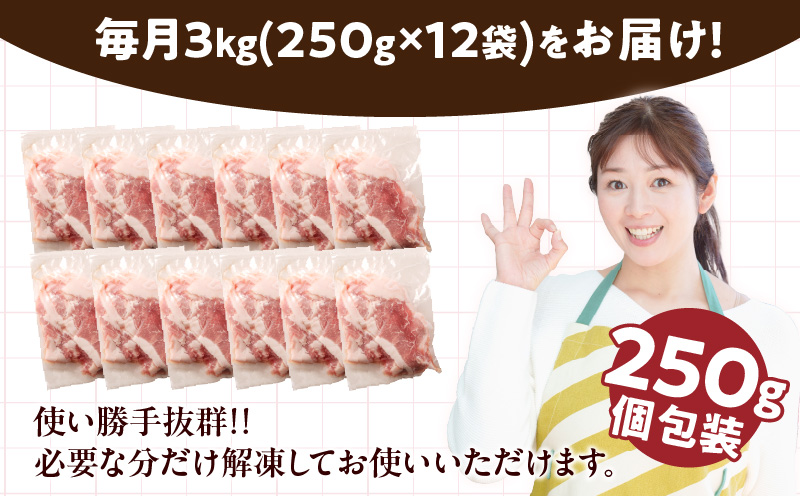 数量限定 12か月 お楽しみ 定期便 小分けで便利 豚 切り落とし 総重量36kg お肉 豚肉 国産 小分け 真空パック 個包装 万能食材 おすすめ おかず 食品 お弁当 豚丼 しゃぶしゃぶ お祝い 記念日 宮崎県 日南市 送料無料_SH1-24
