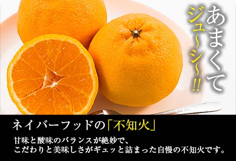 先行予約 不知火 計4kg以上 傷み補償分付き 期間限定 数量限定 フルーツ 果物 くだもの 柑橘 みかん しらぬい 令和8年発送 おやつ デザート ジュース 国産 食品 おすすめ ご褒美 産地直送 プレゼント ギフト 贈り物 ネイバーフッド 宮崎県 日南市 送料無料_AAV11-25