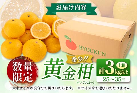 先行予約 新感覚シトラス 黄金柑 おうごんかん 計3kg以上 令和8年発送 期間限定 数量限定 希少 果物 くだもの フルーツ 国産 食品 柑橘 みかん 蜜柑 ゴールデンオレンジ デザート おやつ おすすめ おすそ分け 手土産 ギフト 贈り物 宮崎県 日南市 送料無料_AAV8-25