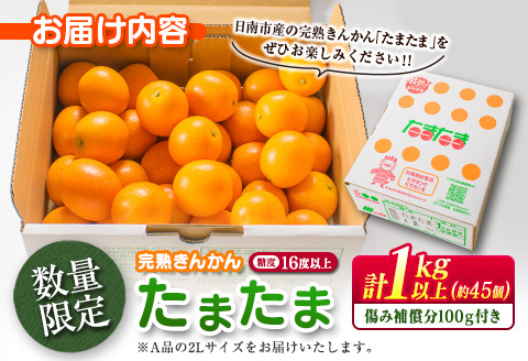 糖度16度以上 数量限定 完熟 きんかん たまたま 計1kg以上 傷み補償分入り 宮崎 期間限定 フルーツ 果物 くだもの ブランド 金柑 柑橘 令和8年発送 化粧箱入り 国産 食品 人気 おすすめ ギフト 贈り物 贈答 ご褒美 お祝い おすそ分け 日南市 送料無料_B215-23