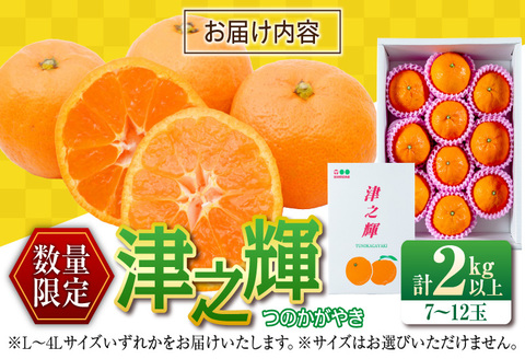 先行予約 津之輝 つのかがやき 2kg以上 (2kg×1箱) 希少 期間限定 数量限定 フルーツ 果物 くだもの 柑橘 みかん 令和8年発送 国産 食品 おすすめ デザート おやつ みかんジュース フルーツサンド ギフト 贈り物 贈答 おすそ分け 宮崎県 日南市 送料無料_A79-23 2kg以上 (2kg×1箱)