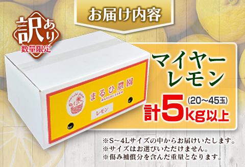 訳あり 数量限定 マイヤーレモン 計5kg以上 フルーツ 果物 柑橘 レモン 檸檬 オレンジ 人気 おすすめ おすそ分け お土産 プレゼント お取り寄せ グルメ 国産 食品 デザート スイーツ ブランド 希少 特産品 産地直送 宮崎県 日南市 送料無料_A89-23 計5kg以上(20～45玉)