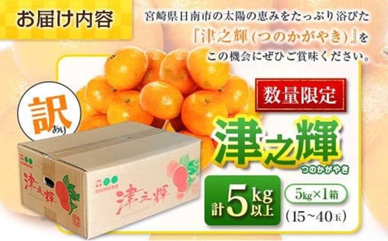 先行予約 訳あり 津之輝 つのかがやき 5kg以上 (5kg×1箱) 希少 期間限定 数量限定 フルーツ 果物 くだもの 柑橘 みかん 令和8年発送 国産 食品 おすすめ デザート おやつ みかんジュース フルーツサンド ご家庭用 おすそ分け 宮崎県 日南市 送料無料_BB86-23 5kg以上 (5kg×1箱)