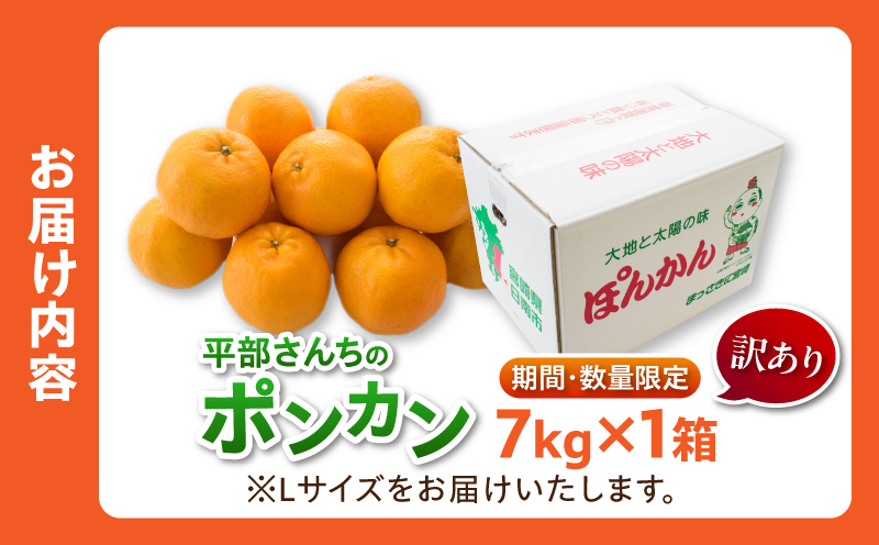 訳あり 平部さんちのポンカン 計7kg以上 先行予約 期間限定 数量限定 フルーツ 果物 くだもの 柑橘 みかん 蜜柑 わけあり 国産 食品 おやつ デザート みかんジュース フルーツサンド おすすめ ご家庭用 おすそ分け 産地直送 宮崎県 日南市 送料無料_BA60-23