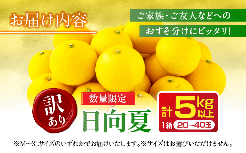 先行予約 訳あり 日向夏 計5kg以上 期間限定 数量限定 果物 フルーツ くだもの 柑橘 みかん 令和8年発送 ジュース フルーツサンド おやつ デザート 国産 食品 おすすめ バラ詰め おすそ分け ご家庭用 手土産 宮崎県 日南市 送料無料_BB98-23 計5kg以上