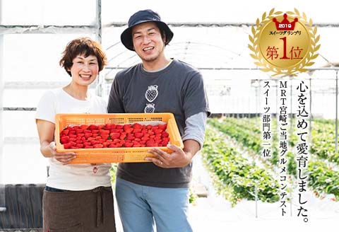 グランプリ受賞 数量限定 冷凍いちご シロップ付 計1kg+170g 【クラッシュタイプ】 果物 くだもの フルーツ 苺 国産 自家製 スムージー イチゴジャム おやつ デザート 詰め合わせ 小分け 産地直送 おすそ分け 贈り物 ギフト 宮崎県 日南市 送料無料_BAV2-24
