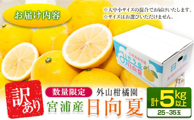 先行予約 訳あり 宮浦産 日向夏 計5kg以上 期間限定 数量限定 フルーツ 果物 くだもの 柑橘 みかん 令和8年発送 国産 産地直送 新鮮 食品 ジュース デザート フルーツサンド おやつ ご褒美 おすそ分け ご家庭用 宮崎県 日南市 送料無料_AAV12-25 計5kg以上