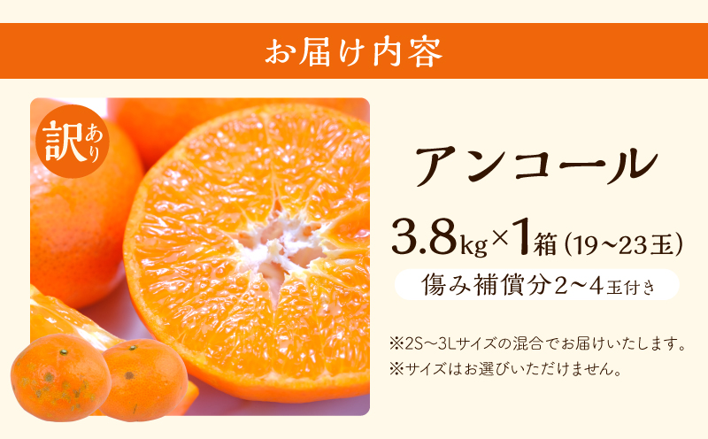 先行予約 訳あり アンコール 計3.8kg以上 傷み補償分付き 令和8年発送 期間限定 数量限定 フルーツ 果物 くだもの みかん オレンジ ジュース 柑橘 国産 食品 不揃い 傷 規格外 訳アリ 家庭用 おすそ分け おすすめ デザート おやつ 宮崎県 日南市 送料無料_AAV3-25