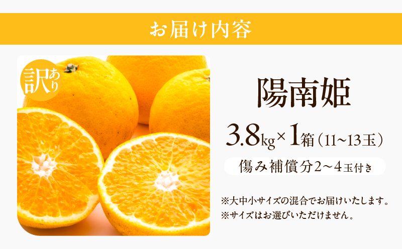 先行予約 訳あり オリジナル ブランド 陽南姫 計3.8kg以上 傷み補償分入り 令和8年発送 期間限定 数量限定 フルーツ 果物 くだもの 柑橘 みかん 訳アリ 家庭用 不揃い 傷 規格外 国産 食品 デザート ジュース おやつ 希少 おすすめ 宮崎県 日南市 送料無料_AAV4-25