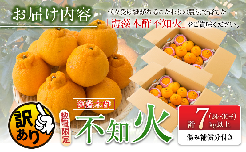 先行予約 訳あり 海藻木酢 不知火 計7kg以上 傷み補償分付き 期間限定 数量限定 フルーツ 果物 くだもの 柑橘 みかん 訳アリ 国産 食品 デザート おやつ おすそ分け おすすめ ご家庭用 ご自宅用 B品 傷 マーマレード 産地直送 宮崎県 日南市 送料無料_BBV2-24