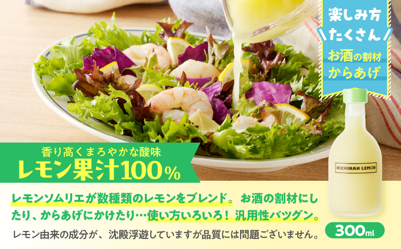 日南レモン シロップ レモン 果汁 オリジナル 2本 セット 合計600ml 果物 フルーツ くだもの れもん 檸檬 柑橘 ジュース 飲料 ドリンク 国産 食品 オリジナル ブレンド 無添加 保存料不使用 お土産 ギフト プレゼント 贈り物 贈答品 宮崎県 日南市 送料無料_C151-25