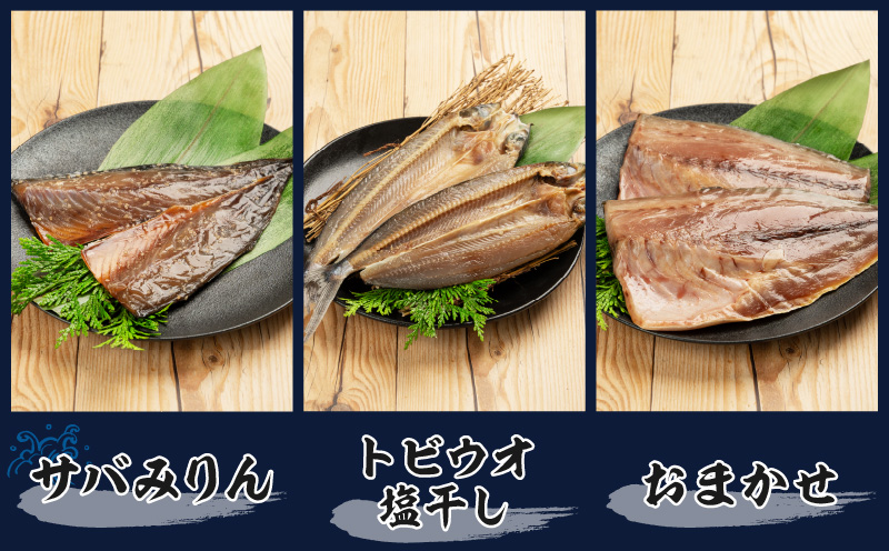 数量限定 山野水産 干物 セット 合計10枚 詰め合わせ 簡単調理 魚 魚介 加工品 食品 惣菜 おかず おつまみ 塩干し みりん干し アジ開き サバ トビウオ ひもの おすすめ 海産物 海鮮 水産加工品 ギフト 国産 宮崎県 日南市 送料無料 山野水産魚介_B232-24