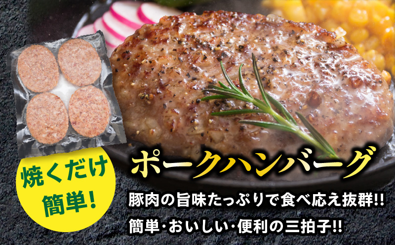 粗挽き ウインナー 90g×4パック ポークハンバーグ 100g×8個 お試しセット 国産 豚肉 ソーセージ 加工品 おかず お弁当 おつまみ 食品 BBQ バーベキュー 焼肉 人気 おすすめ 詰め合わせ 簡単調理 小分け お取り寄せ グルメ ミヤチク 宮崎県 日南市 送料無料_BA94-25