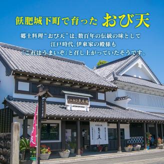 おび天 9種 よりすぐり セット 合計13枚 加工品 天ぷら 揚げ物 練り物 おかず おやつ おつまみ 惣菜 国産 グルメ 食べ比べ 詰め合わせ 名物 人気 おすすめ 厳選 ギフト 贈り物 プレゼント お土産 お取り寄せ おすそ分け 郷土料理 宮崎県 日南市 送料無料_BB111-23