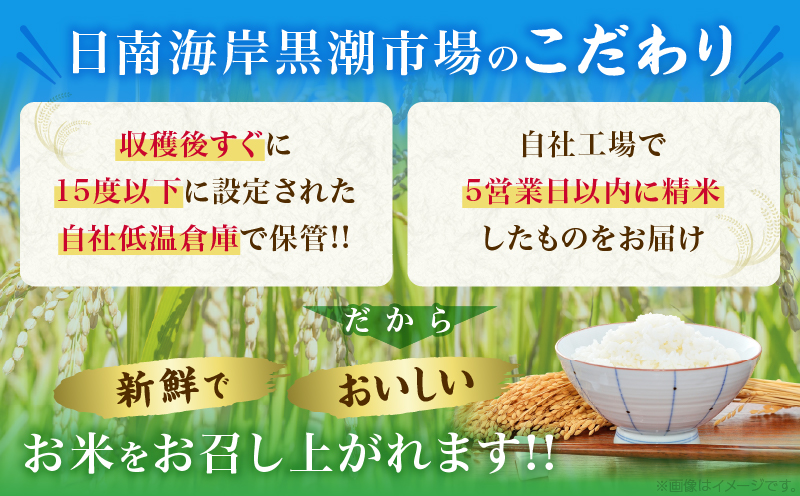 令和7年産 コシヒカリ 計10kg お米 ご飯 ライス 国産 数量限定 期間限定 人気 食品 精米 白米 こしひかり 有洗米 おにぎり お弁当 炊き込みご飯 雑炊 ギフト プレゼント 贈り物 お取り寄せ 産地直送 宮崎県 日南市 送料無料_E55-25 計10kg