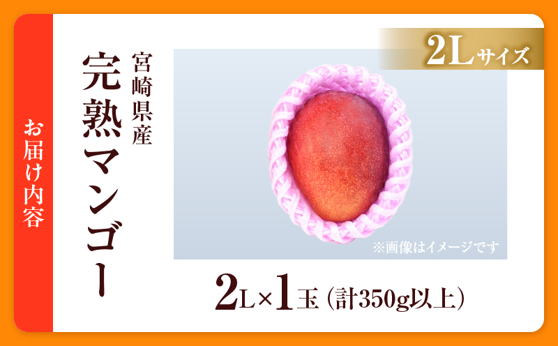 数量限定 宮崎県産 完熟マンゴー 2L×1玉 計350g以上 期間限定 フルーツ スイーツ 果物 くだもの 食品 グルメ デザート 国産 産地直送 人気 おすすめ おやつ 高級 ご褒美 贅沢 贈り物 ギフト プレゼント 令和8年発送分 宮崎県 日南市 送料無料_BA92-25 2L×1玉（計350g以上）