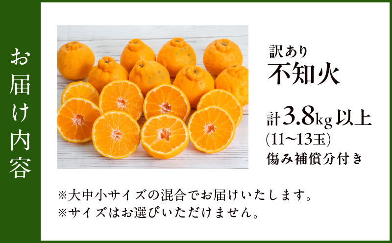 先行予約 訳あり 不知火 計3.8kg以上 傷み補償分入り 令和8年発送 期間限定 数量限定 フルーツ 果物 くだもの みかん オレンジ 柑橘 デザート ジュース おやつ 国産 食品 不揃い 傷 規格外 訳アリ 家庭用 おすそ分け おすすめ 宮崎県 日南市 送料無料_AAV6-25