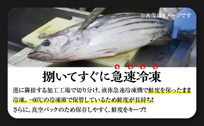 年内発送＼近海かつお一本釣り漁獲量日本一!!／ 大判 かつお 柵 計800g 食品 国産 真空パック おすすめ 鰹 カツオ 刺身 刺し身 サク おかず おつまみ ギフト 魚介類 新鮮 海産物 数量限定 人気 プレゼント 贈り物 贈答 お取り寄せ 宮崎県 日南市 送料無料_BB149-24