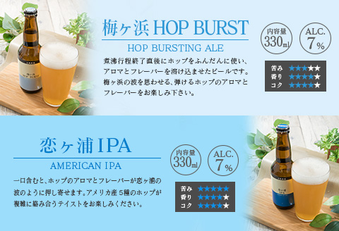 地域限定 人気 クラフトビール 6種 飲み比べ セット 330ml × 6本 国産 食品 お酒 アルコール 飲料 ブルワリー 地ビール 麦酒 テイスト おすすめ パーティー お祝 記念日 ご褒美 お土産 ギフト 詰め合わせ お取り寄せ グルメ 宮崎県 日南市 送料無料_BC73-23