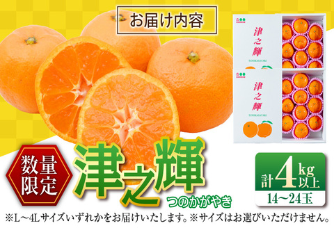 先行予約 津之輝 つのかがやき 4kg以上 (2kg×2箱) 希少 期間限定 数量限定 フルーツ 果物 くだもの 柑橘 みかん 令和8年発送 国産 食品 おすすめ デザート おやつ みかんジュース フルーツサンド ギフト 贈り物 贈答 おすそ分け 宮崎県 日南市 送料無料_BD92-24 4kg以上 (2kg×2箱)