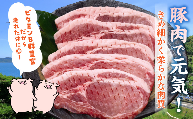 宮崎県産 豚ロース (トンテキ・とんかつ用) 計1kg 肉 豚肉 ポーク 国産 食品 万能食材 真空パック 簡単調理 おかず お弁当 おつまみ 豚丼 焼肉 炒め物 カレー ステーキ おすすめ ご褒美 お祝い 記念日 日南市 送料無料 ウィズトンテキとんかつ 日南スピード配送_BC97-24