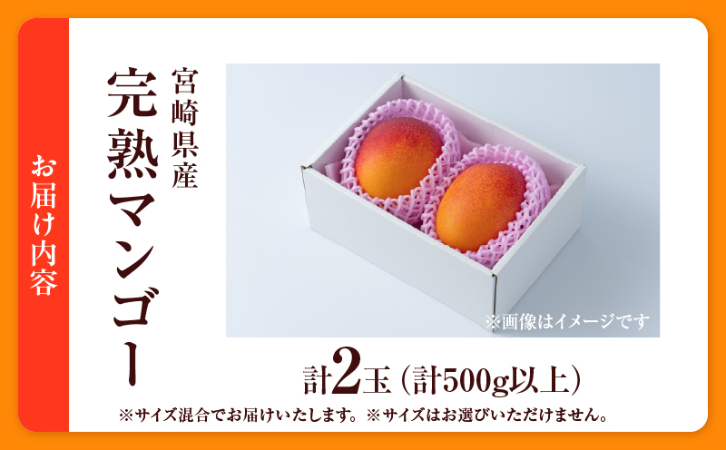数量限定 宮崎県産 完熟マンゴー 2玉 計500g以上 期間限定 フルーツ スイーツ 果物 くだもの 食品 グルメ デザート 国産 産地直送 人気 おすすめ おやつ 高級 ご褒美 贅沢 贈り物 ギフト プレゼント 令和8年発送分 宮崎県 日南市 送料無料_BD106-25 2玉（計500g以上）