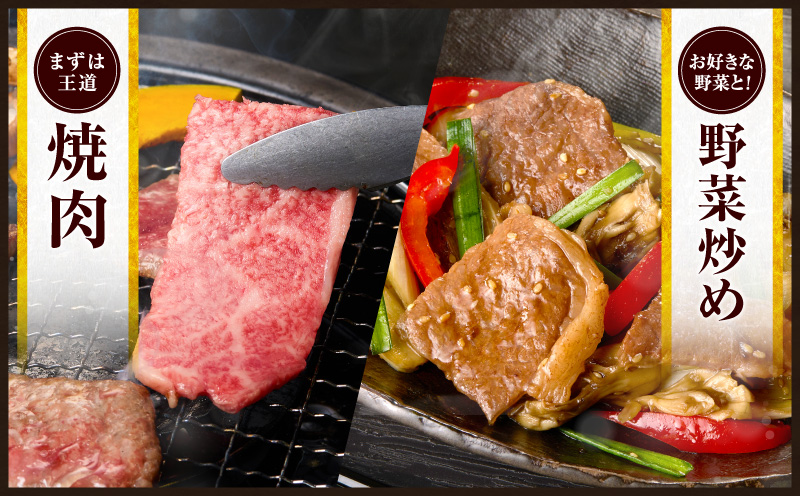 【令和8年3月配送】数量限定 宮崎牛 霜降り 焼肉 計500g 肉質等級4等級以上 牛肉 黒毛和牛 国産 食品 おかず 最高級 ブランド牛 焼き肉 BBQ バーベキュー キャンプ 人気 おすすめ 記念日 贈り物 お取り寄せ ミヤチク 宮崎県 日南市 送料無料_CV7-25-03 【焼肉計500g】令和8年3月配送(寄附額15,500円)