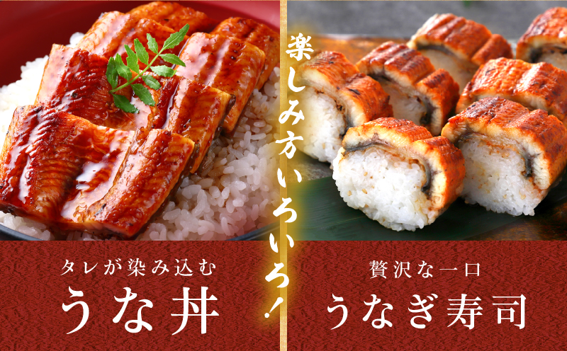 職人 手焼き うなぎ蒲焼 2尾 計260g以上 鰻 魚介類 伝統の味 秘伝のタレ 厳選 国産 ウナギ おかず 食品 加工品 真空パック 冷蔵 人気 おすすめ うな重 うな丼 惣菜 お土産 ひつまぶし うなぎ寿司 お祝い 贈り物 ギフト 贈答 プレゼント 宮崎県 日南市 送料無料_CD40-23