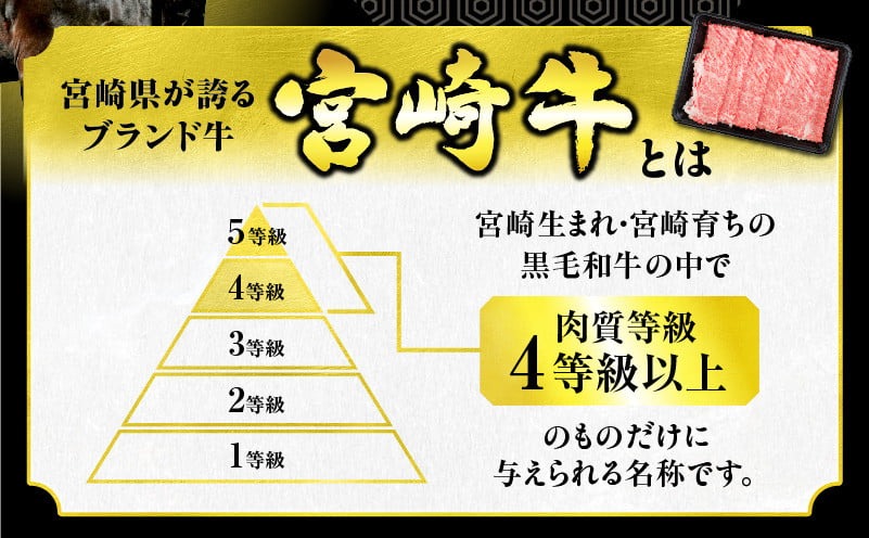 ≪お歳暮・冬ギフト2025≫【畜産農家応援】選べる 宮崎牛 ロースステーキ (250g×2枚) 500g 肉 牛肉 黒毛和牛 ロース ステーキ サーロイン リブロース 国産 焼肉 BBQ バーベキュー 人気 おすすめ ギフト 贈り物 贈答 お祝い ミヤチク ブランド牛 宮崎 日南市 送料無料_CC66-253 お歳暮・冬ギフト2025