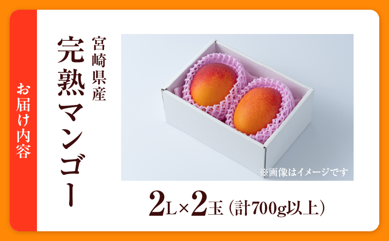 数量限定 宮崎県産 完熟マンゴー 2L×2玉 計700g以上 期間限定 フルーツ スイーツ 果物 くだもの 食品 グルメ デザート 国産 産地直送 人気 おすすめ おやつ 高級 ご褒美 贅沢 贈り物 ギフト プレゼント 令和8年発送分 宮崎県 日南市 送料無料_C142-25 2L×2玉（計700g以上）