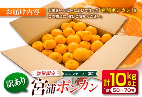 年内発送 訳あり 宮浦 ポンカン 計10kg以上 先行予約 期間限定 数量限定 フルーツ 果物 くだもの 柑橘 みかん 蜜柑 わけあり 国産 食品 おやつ デザート みかんジュース おすすめ ご家庭用 不揃い おすそ分け 産地直送 宮崎県 日南市 送料無料_CA54-24 計10kg以上