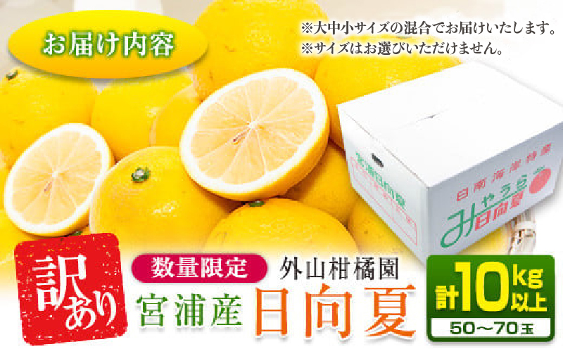 先行予約 訳あり 宮浦産 日向夏 計10kg以上 期間限定 数量限定 フルーツ 果物 くだもの 柑橘 みかん 令和8年発送 国産 産地直送 新鮮 食品 ジュース デザート フルーツサンド おやつ ご褒美 おすそ分け ご家庭用 宮崎県 日南市 送料無料_CA85-25 計10kg以上