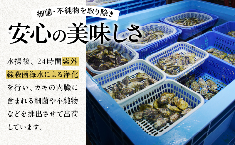 数量限定 宮崎県産 ブランド 牡蠣 ひとしおオイスター 計20個 魚介 魚貝 かき 生食用 殻付き 国産 おかず おつまみ 食品 海鮮 海産物 シーフード BBQ バーベキュー アウトドア グランピング 海の幸 養殖 絶品 贅沢 ご褒美 お取り寄せ グルメ 日南市 送料無料_CB81-23
