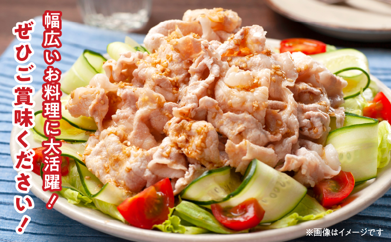 豚こま切れ 計4kg お肉 豚肉 小間切れ 豚こま ポーク 食品 スライス 切落し おかず お弁当 おつまみ 万能食材 国産 宮崎県産 焼肉 カレー 豚丼 豚汁 炒め物 大容量 小分け お祝い 記念日 ギフト おすすめ お取り寄せ グルメ 冷凍 宮崎県 日南市 送料無料 ムラチク万能豚肉_CA50-24