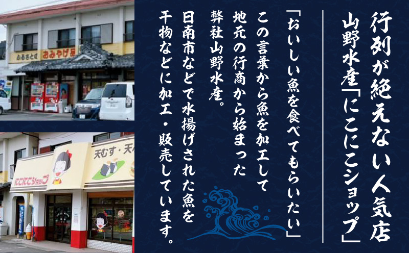 にこにこショップ 天ぷら 3種類 セット 合計36枚 とび天 イカ天 ごぼう天 加工品 食品 惣菜 てんぷら おかず おつまみ お弁当 簡単調理 魚 魚肉 魚介 海鮮 水産加工品 個包装 真空パック 小分け おすすめ 人気 詰め合わせ 国産 宮崎県 日南市 送料無料 山野水産魚介_CA53-24