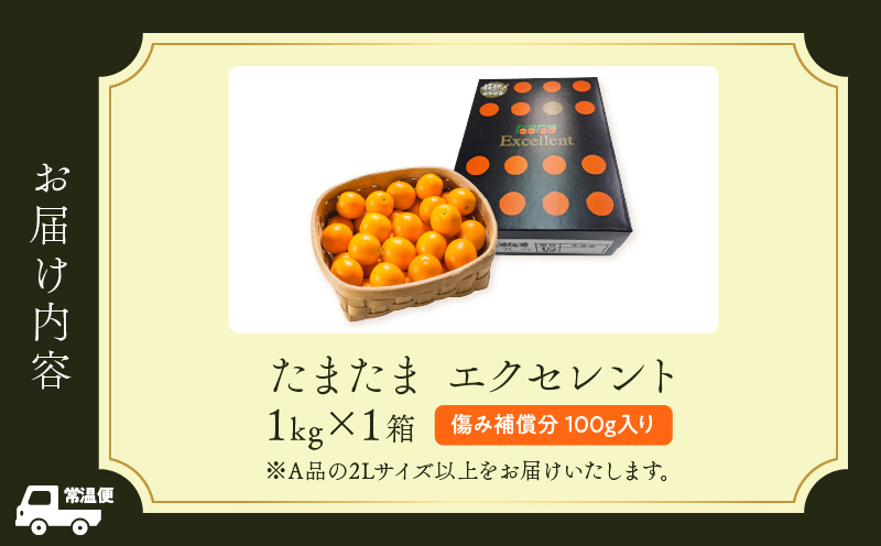 糖度18度以上!! 完熟きんかん たまたま エクセレント 計1kg 傷み補償分入り 期間限定 数量限定 フルーツ 果物 柑橘 金柑 国産 食品 A品 2L 最高級 ブランド 大粒 極甘 デザート おすすめ ギフト プレゼント 贈り物 贈答 先行予約 宮崎県 日南市 送料無料_CB115-25