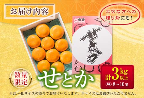柑橘界の大トロ!! とろけるような食感!! せとか 計3kg以上 化粧箱入り 期間限定 数量限定 先行予約 2026 令和8年発送 果物 くだもの 柑橘 みかん おやつ デザート 国産 食品 おすすめ ギフト 贈り物 贈答 おすそ分け お祝い お返し 宮崎県 日南市 送料無料_D99-24