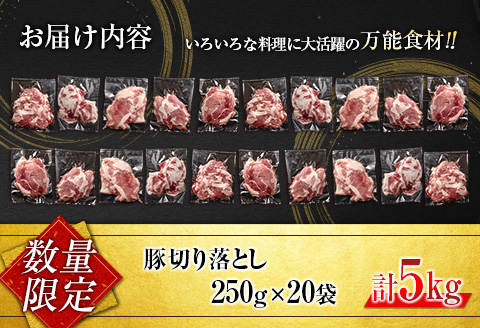 小分けで便利 数量限定 豚 切り落とし 計5kg お肉 豚肉 ポーク 国産 小分け 真空パック 個包装 万能食材 おすすめ おかず 食品 炒め物 お弁当 豚丼 豚しゃぶ しゃぶしゃぶ 焼肉 お祝い 記念日 ギフト 贈り物 贈答 プレゼント おすそ分け 宮崎県 日南市 送料無料_CD61-24